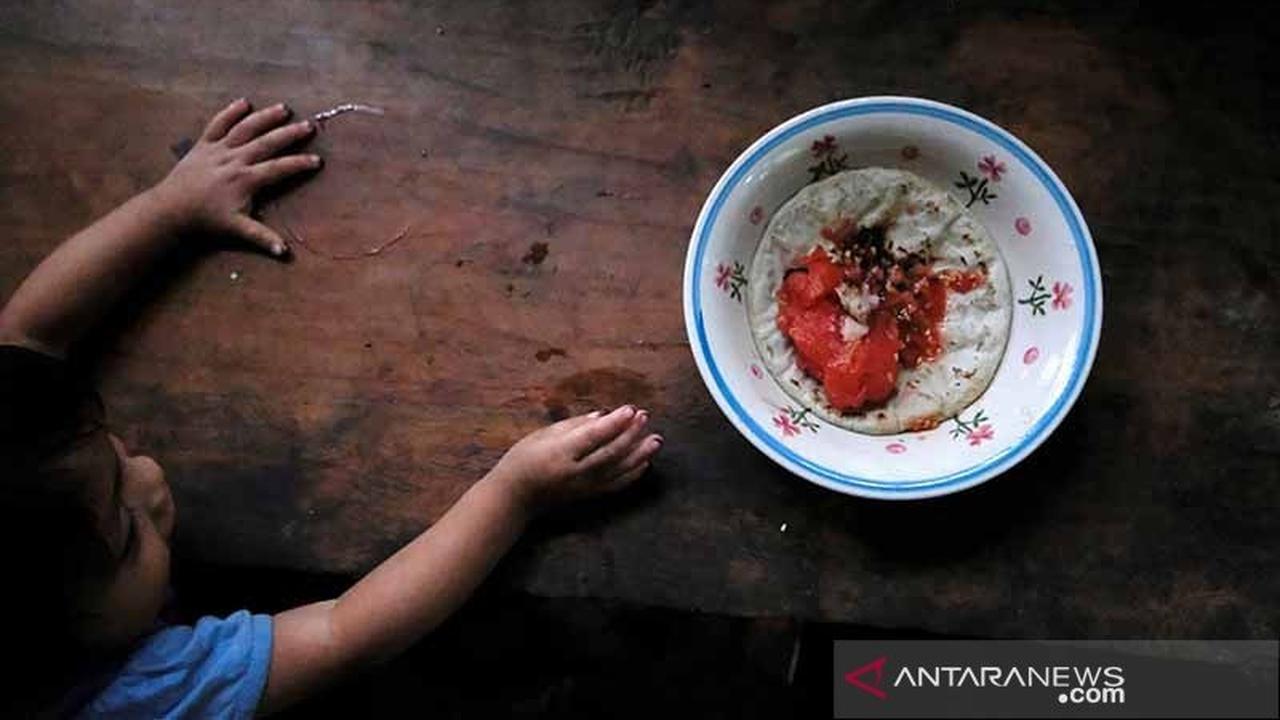 Harga Pangan Global Melonjak 2,4 Persen: Biaya Energi dan Konflik Timur Tengah Jadi Pemicu Utama