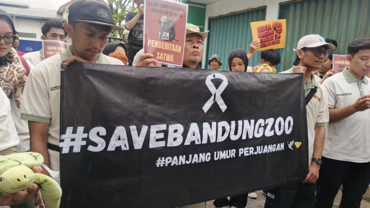 BBKSDA Jabar Turun Tangan Imbas Stok Pakan Bandung Zoo Krisis