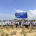Tanam 22 Ribu Mangrove, PNM Dorong Kelestarian Lingkungan Sekaligus Ekonomi Pesisir