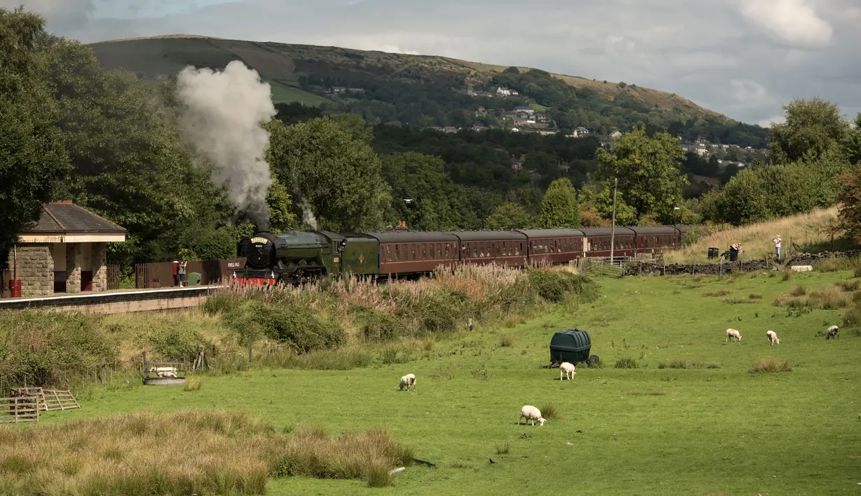 Lokomotif uap Flying Scotsman berjalan di sepanjang jalur East Lancashire Railway melalui stasiun Irwell Vale, Inggris, 5 September 2018. Kereta uap ini dianggap oleh banyak orang sebagai kereta dan lokomotif yang paling terkenal di dunia (OLI SCARFF/AFP)