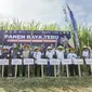 Panen Raya Tebu di Provinsi DI Yogyakarta.