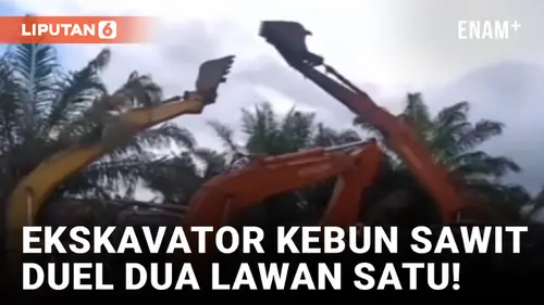 VIDEO: Bak Film Transformers, Ekskavator Bertarung Dua Lawan Satu Rebutan Lahan di Siak Riau