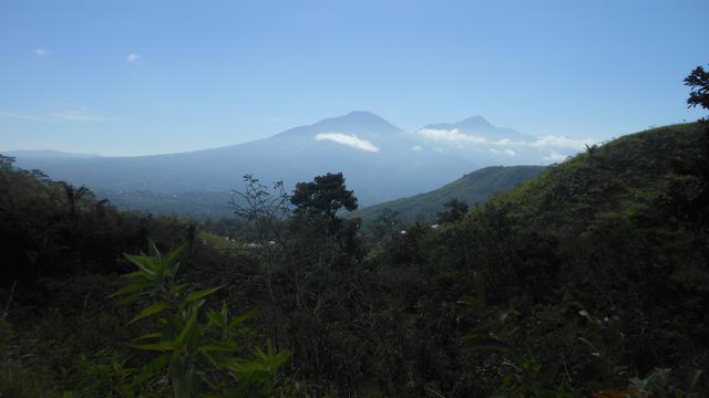 Gunung Curunumbeng di Flores NTT