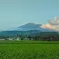 Desa Wisata Cikalahang salah satu rekomendasi wisata di Cirebon yang instagramable. (Istimewa)