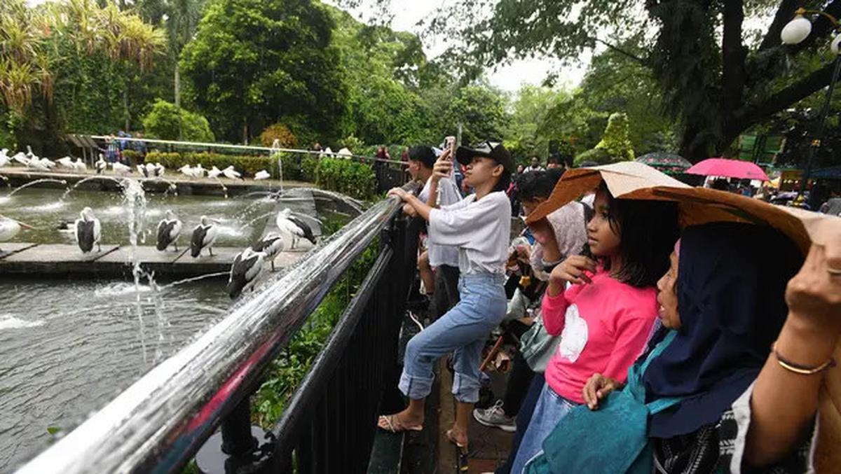 Harga Tiket Masuk Taman Margasatwa Ragunan, Buka Malam Hari Mulai Sabtu 11 Oktober 2025