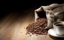 Ini 6 Fakta Unik tentang Kopi yang Menarik untuk Diketahui
