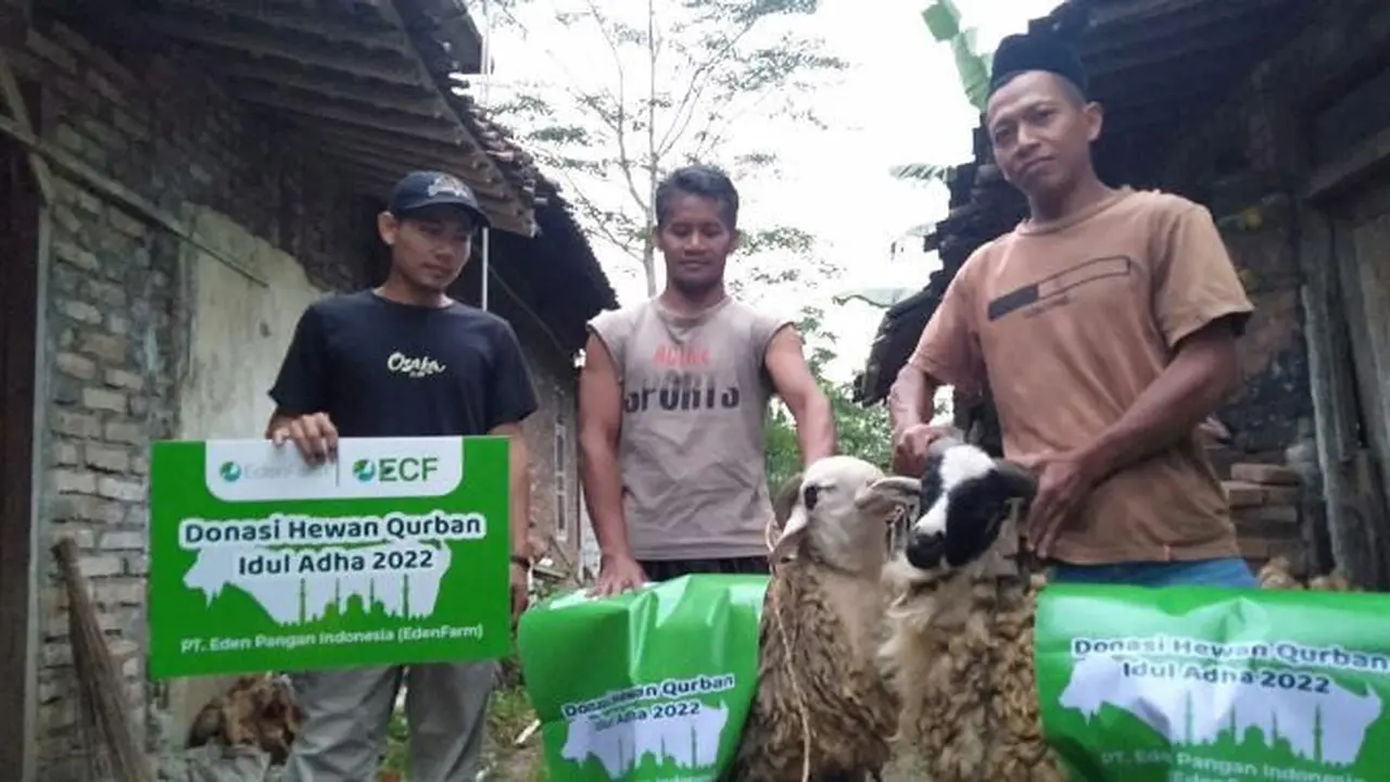 Rayakan Iduladha,  EdenFarm Berbagi Hewan Kurban dengan Komunitas Tani