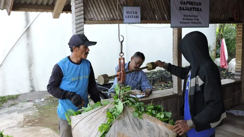 Ilustrasi Petani Teh Indonesia