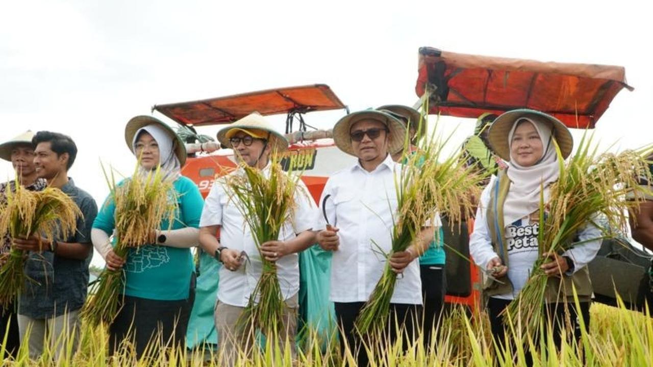 Sukses Panen Padi 10 Ton Pati: Pemkab Buktikan Produktivitas Pertanian Unggul