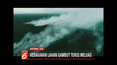 200 hektar lahan gambut di Aceh Barat habis dilalap api. Petugas BPBD, TNI, Polri, dan warga terus berupaya padamkan titik api.