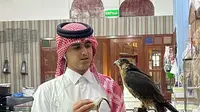 Laporan dari Qatar: Burung Falcon Peliharaan Mewah Warlok, Sampai Ada Rumah Sakit Khusus Lho