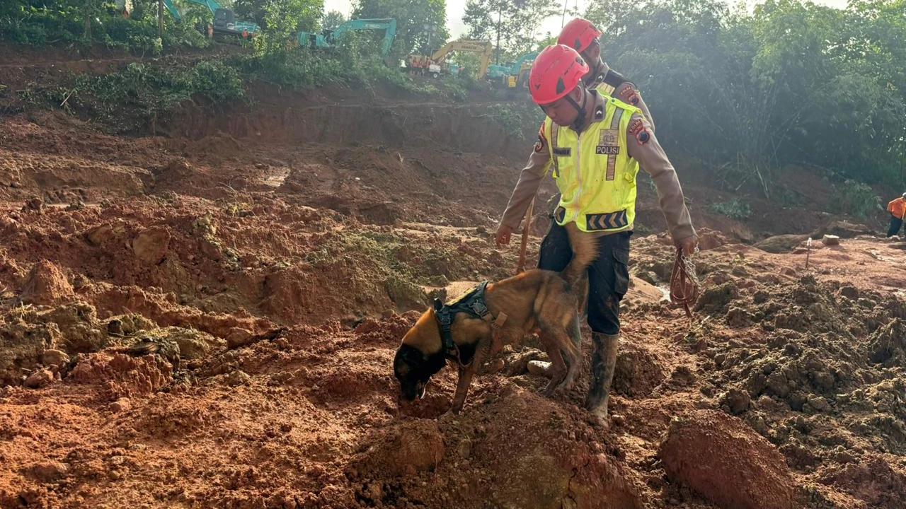 Pencarian Korban Longsor Banjarnegara