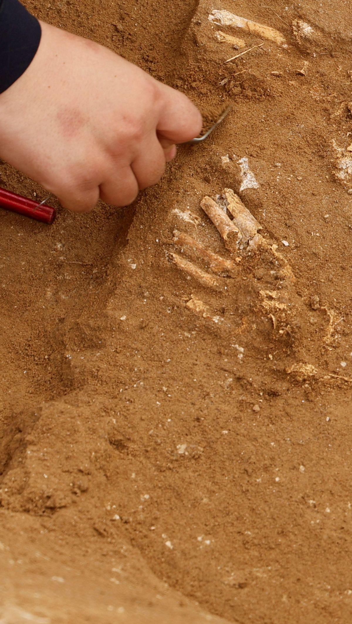 Dalam menggali ini, A'utul dibantu oleh sedikitnya 25 insinyur dan teknisi yang terlibat pada penggalian hari Minggu. Dia mengatakan, meski cuaca panas, timnya tetap melakukan penggalian makam kuno itu.