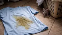Cara Membersihkan Kencing Tikus di Pakaian, Kembali Bersih dan Wangi