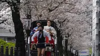 Wanita mengenakan Kimono naik becak di bawah kanopi bunga sakura yang mekar penuh di Tokyo, 31 Maret 2022. Orang-orang di seluruh Jepang merayakan puncak musim melihat bunga sakura minggu ini tanpa pembatasan COVID-19 untuk pertama kalinya dalam dua tahun. (AP Photo/Shuji Kajiyama)