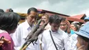 Jokowi menanyakan apakah tikus bakar itu enak dimakan. Pedagang dengan semangat mengatakan enak sekali, Sulawesi Utara, Sabtu (10/5/2014) (Liputan6.com/Herman Zakharia).