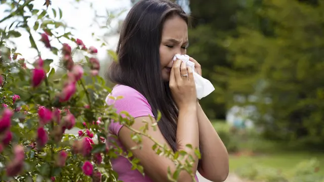 Ilustrasi bunga sebagai salah satu pemicu alergi