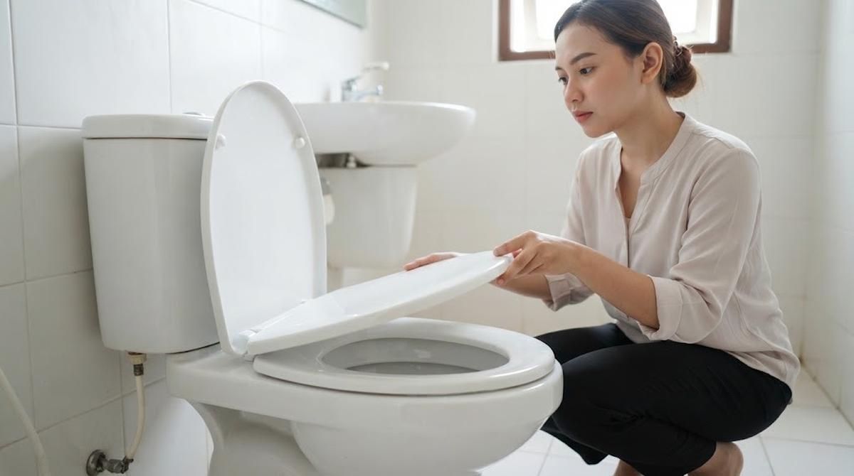 Cara Mencegah Tikus Masuk Lewat Celah Pipa Pembuangan