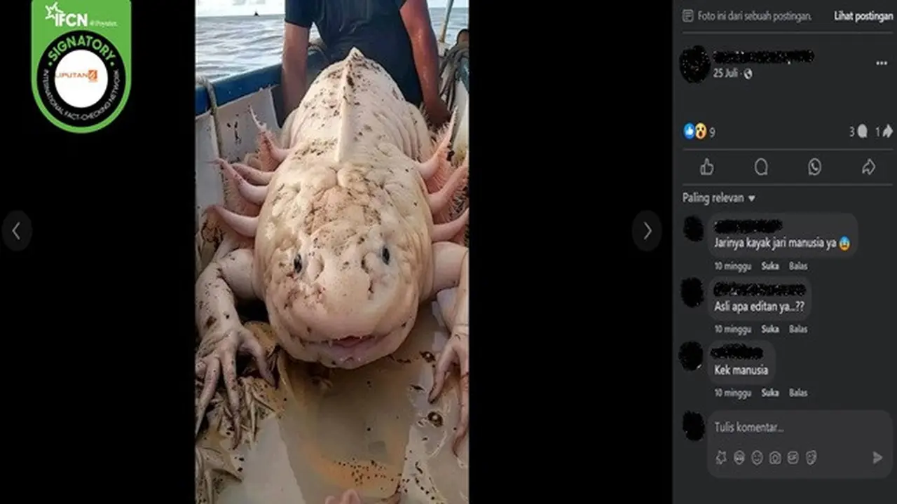 Gambar tangkapan layar foto yang diklaim hewan misterius ditangkap nelayan Papua. (sumber: Facebook)
