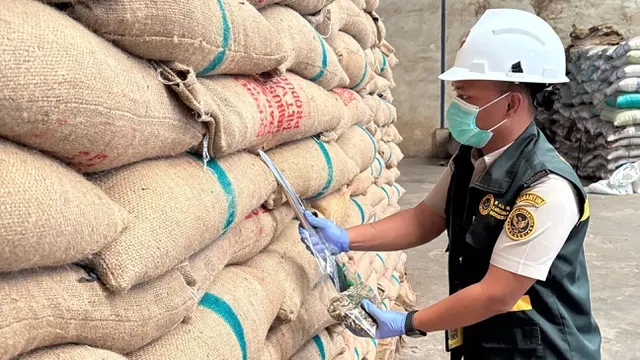 Biji kopi Lampung yang dikirim ke luar negeri. (Liputan6.com/ Dok. Karantina Lampung)