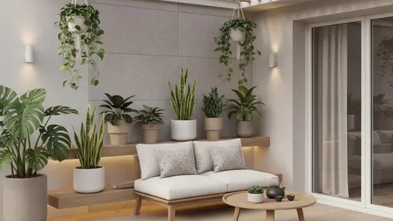Taman Rumah Kurang Menarik? Coba Tambahkan 8 Tanaman Hias Daun Ini untuk Hunian Lebih Fresh
