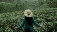 ilustrasi perempuan di kebun teh/Photo by kudung setiawan on Unsplash