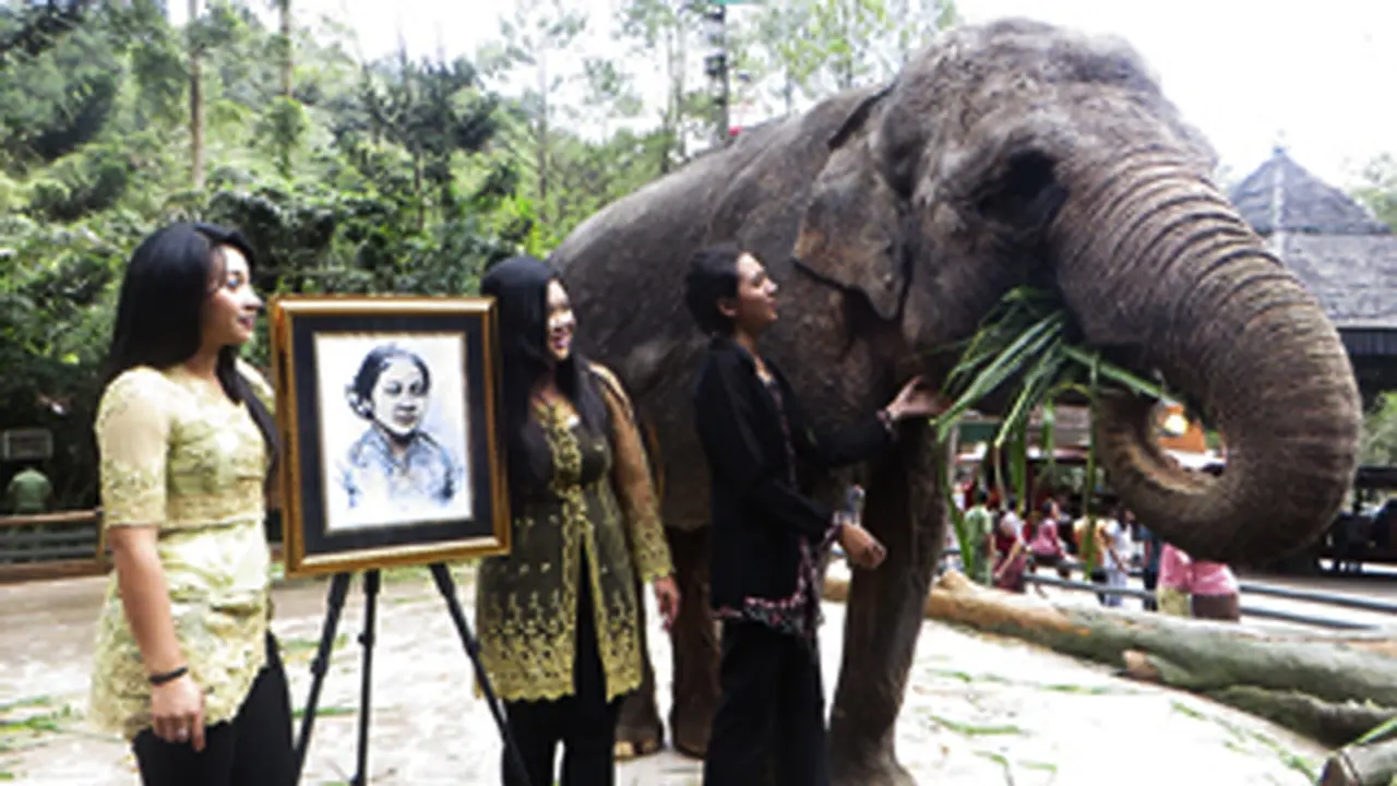 Taman Safari Indonesia