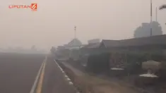 Kabut asap di wilayah Sumatera dan Kalimantan, melumpuhkan aktivitas bandara di Jambi  dan Berau di Kalimantan Timur.