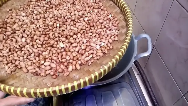 Tanpa Direndam Air Panas, Ini Cara Kupas Kupas Kulit Ari pada Kacang Tanah dengan Praktis