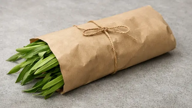 kangkung