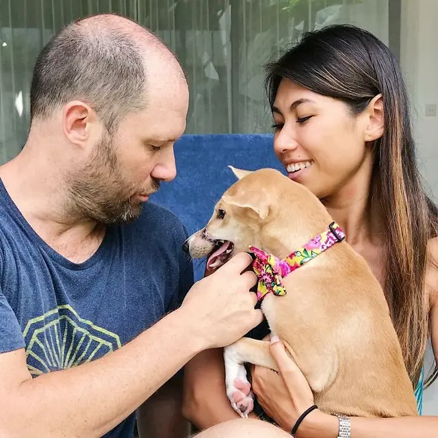 Kisah Anjing yang Melarikan Diri dari Peternakan Ilegal di Bali, Bikin Haru
