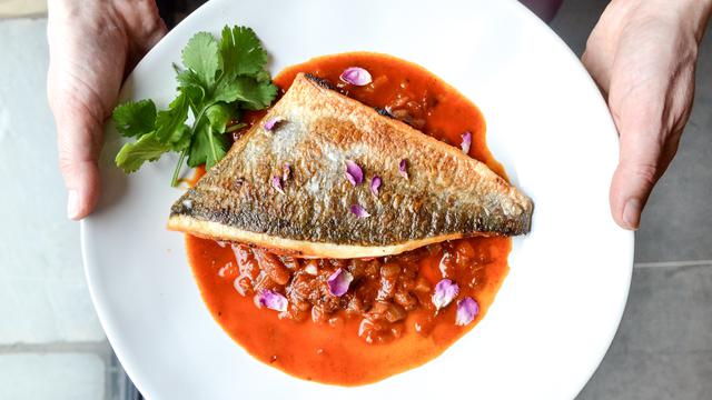 Ilustrasi resep ikan pedas