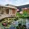 Serupa tapi Tak Sama, Ini Perbedaan Teratai dan Lotus yang Sering Hiasi Kolam Rumah