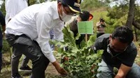 Program Menanam Pohon BUMN serentak dilakukan di 7 titik di Indonesia melibatkan Pemerintah Daerah dan Mahasiswa Pecinta Alam.