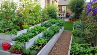 6 Desain Taman Pangan Keluarga dengan Buah dan Sayur di Halaman Sempit