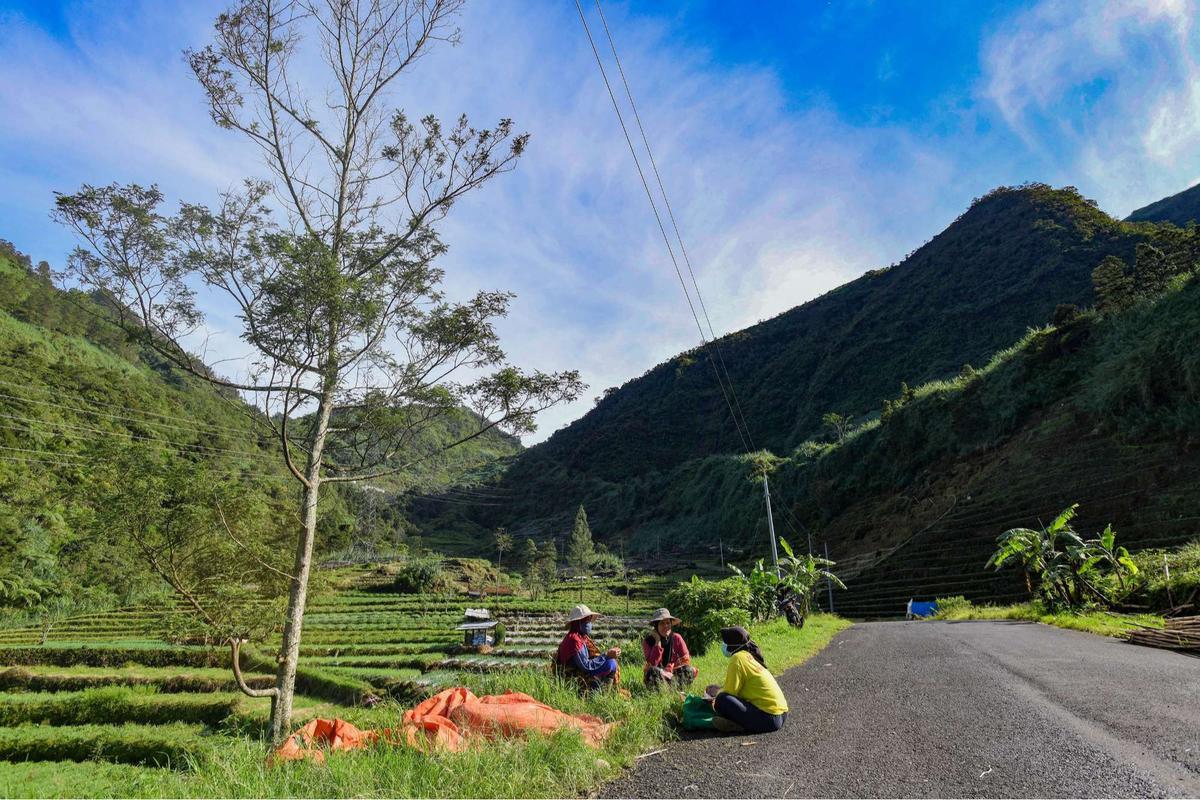 Indahnya Desa Wisata Sembungan yang dijuluku Swiss van Java