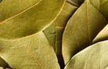 15 Daun Aromatik Bikin Masakan Jadi Wangi dan Bikin Lezat