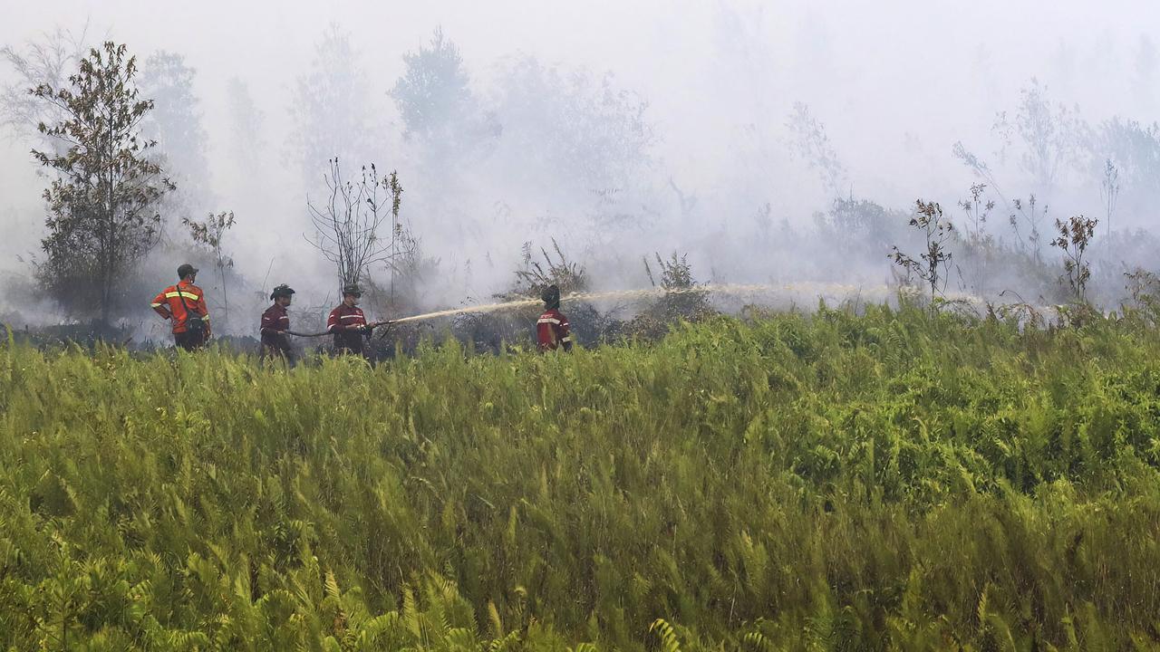 Kemarau Panjang Picu Kebakaran Lahan Gambut di Pulang Pisau