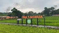 Agroeduwisata Organik Mulyaharja, Bogor, Jawa Barat (dok.Kifin Ramadhan)