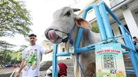 Kalung barcode e-Selamat dapa hewan kurban di Kota Bandung, 19 Mei 2025. (Dok. Pemkot Bandung).