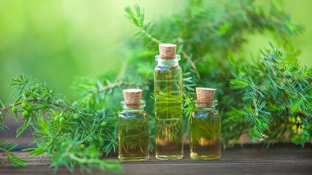 Tea Tree Oil