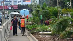 Pejalan kaki melintas saat pekerja menanam pohon di jalur pedestrian Jalan Sudirman, Jakarta, Jumat (6/7). Penanaman pohon dilakukan untuk mempercantik Jakarta jelang Asian Games 2018. (Liputan6.com/Arya Manggala)
