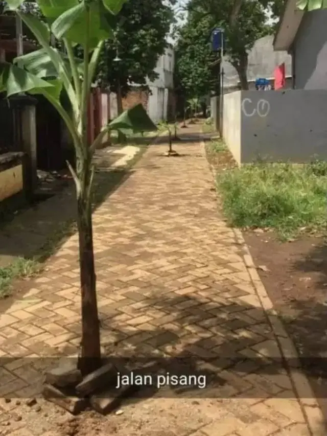 7 Potret Benda di Tengah Jalan Ini Sukses Bikin Pengendara Geleng Kepala