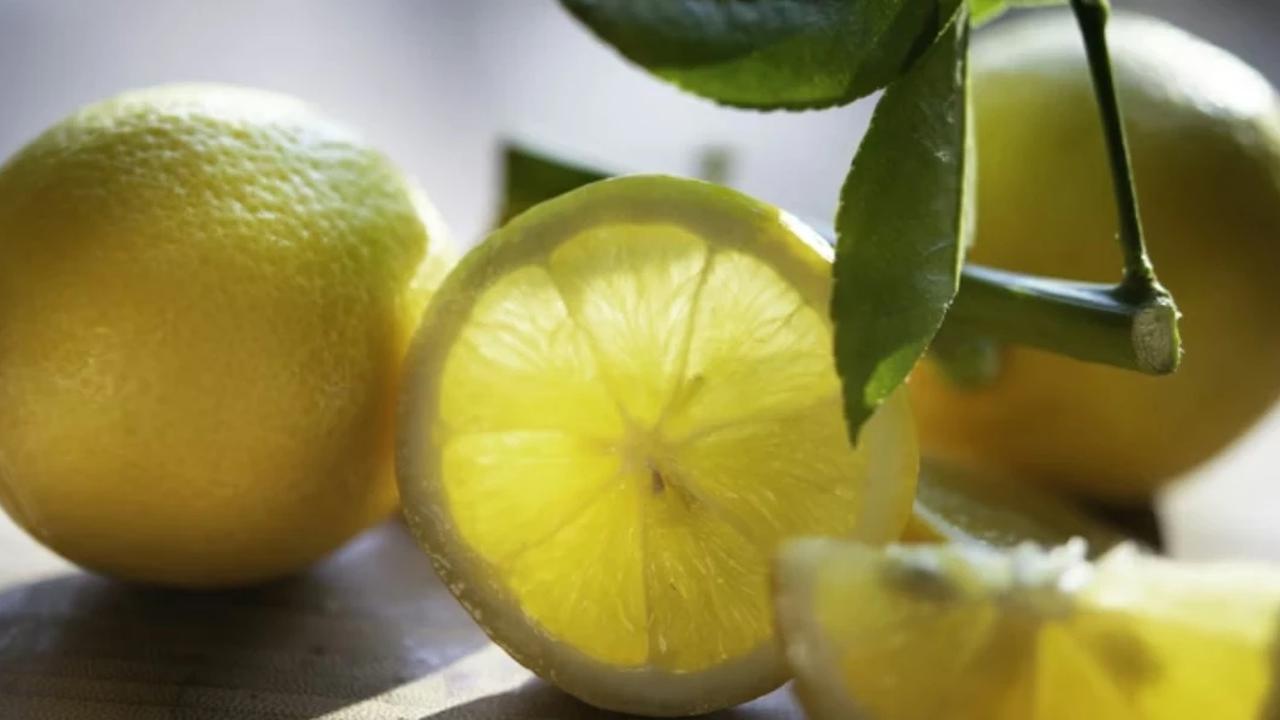 Ilustrasi Lemon