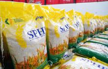 Tahukah Anda? Kemasan Seragam Beras SPHP Bulog Mudahkan Distribusi & Jaga Kualitas Pangan Nasional
