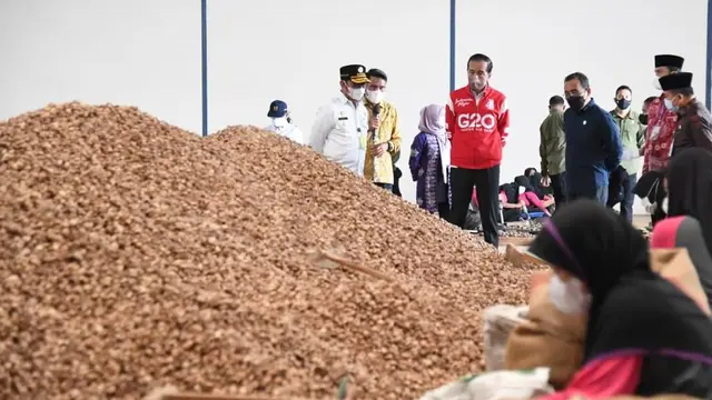 Presiden Joko Widodo (Jokowi) melepas ekspor 126 ton pinang biji kering senilai Rp 4 miliar asal Jambi ke Pakistan pada Kamis (7/4/2022). (Dok PLN)