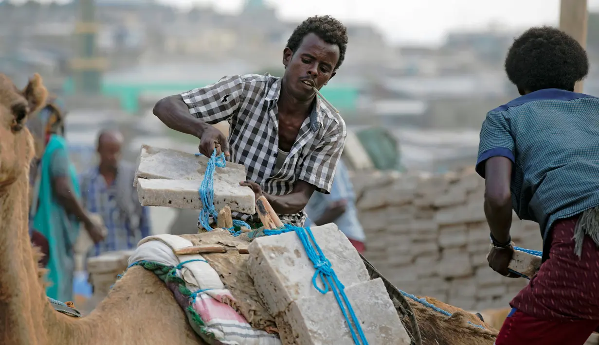 Seorang pria menaikan garam ke punggung unta di area tambang garam di Danakil Depression, Afar, Ethiopia (28/3). Penduduk Ethiopia banyak yang menggantungkan hidup mereka sebagai penambang garam. (AFP Photo/Zacharias Abubeker)