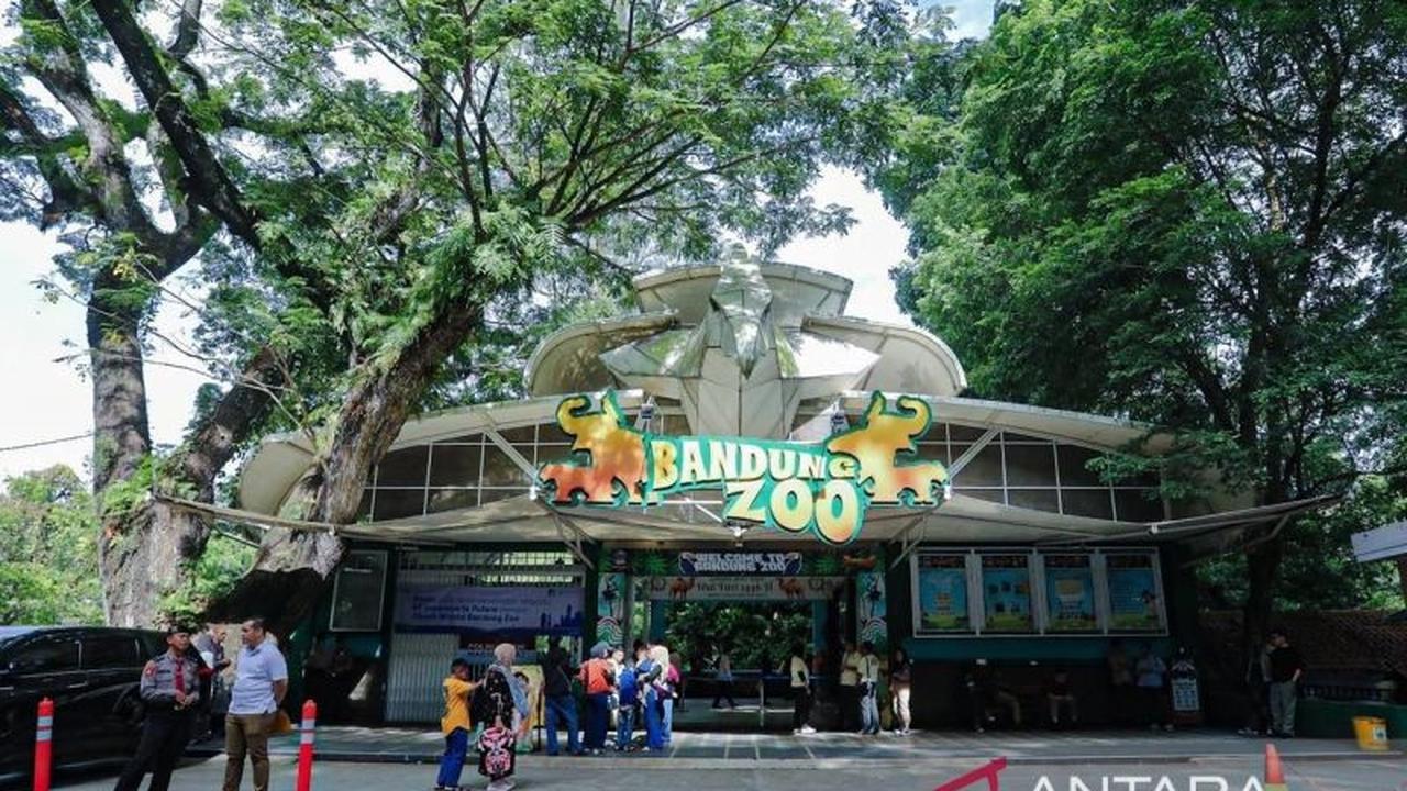 Pemkot Bandung Alokasikan Rp568 Juta untuk Gaji Karyawan Bandung Zoo Selama Masa Transisi