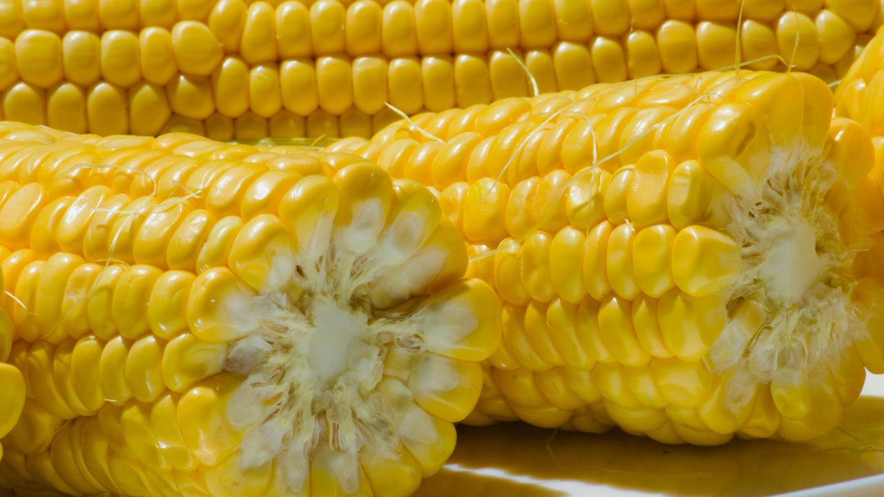 Cara Ampuh Mengembalikan Kesegaran Jagung Keriput dengan Sederhana