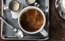 7 Rekomendasi Kopi Terbaik di Indonesia 2025, Aroma Khas, Rasa Tak Tergantikan